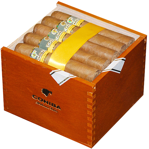 COHIBA ROBUSTOS 25 Cigars